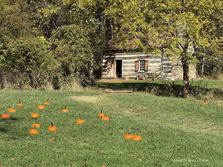 Trick or Treat in the Village