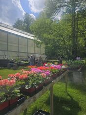 Citizens of Hale Farm & Village Plant Sale