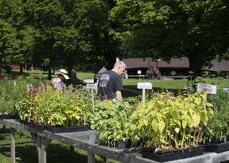 Citizens of Hale Farm & Village Plant Sale