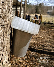 Maple Sugar Festival & Pancake Breakfast