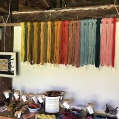 Introduction to Natural Dyeing