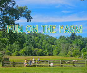 Fun on the Farm: Planting a Rainbow
