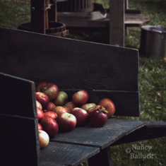 Harvest Festival 