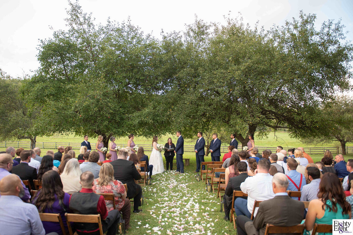 Appleorchard188photography2019