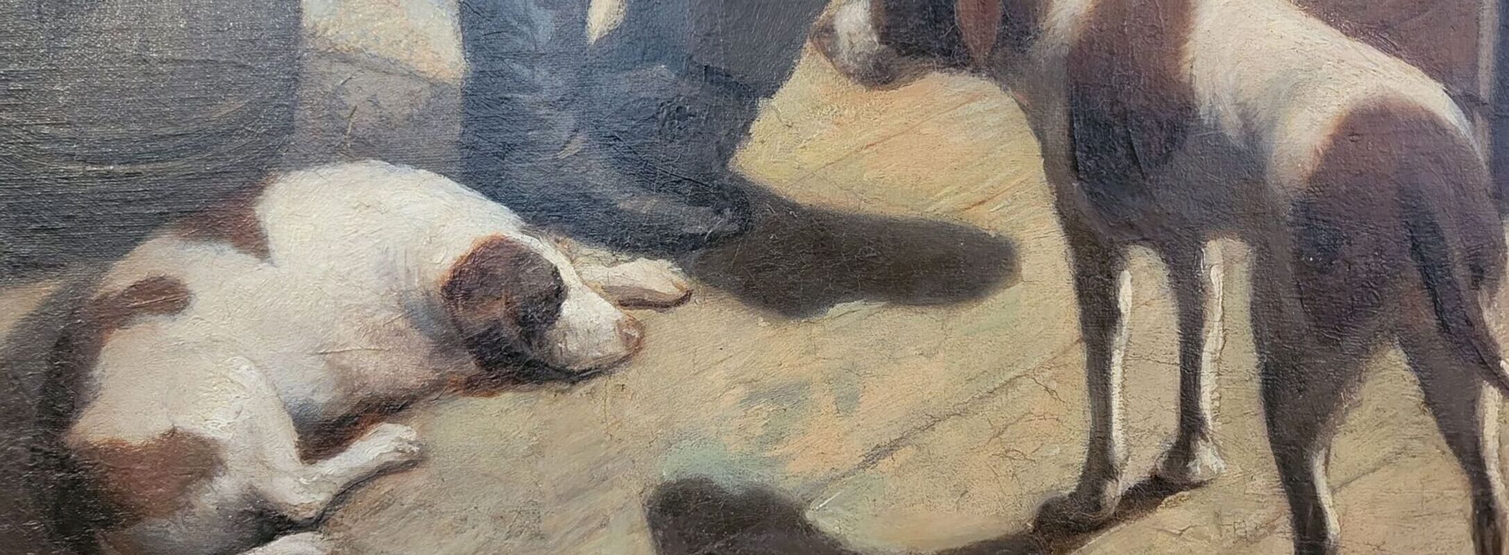 Arkitesdogcrop2