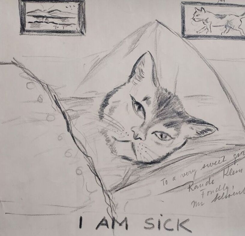 Rkleincat1 imsick
