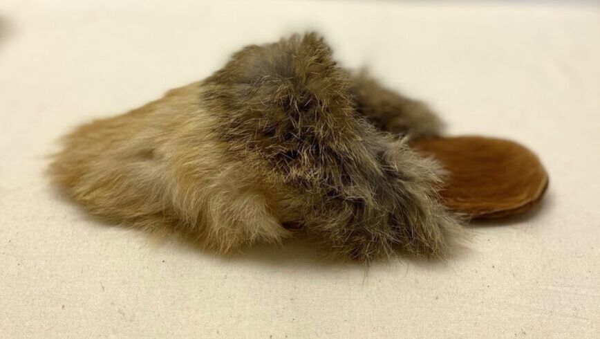 Scuffie Slipper, 1890s