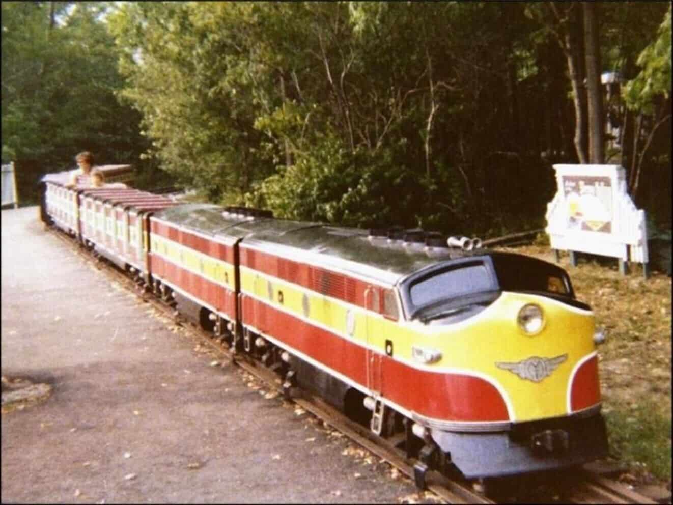 Shady lake train 03